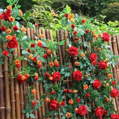 6FT Bendable Flower Garland, Artificial Rose Vine Hanging Floral 1pcs Red