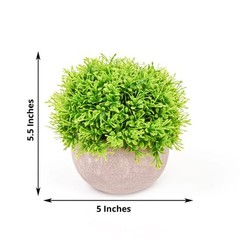 2 GREEN GRAY 5″ Mini Boxwood Topiary Potted ARTIFICIAL PLANTS Home Decorations