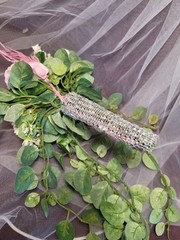 Dusty Pink And White Accent Cascading Bridal Bouquet With Diamond Stud Handle