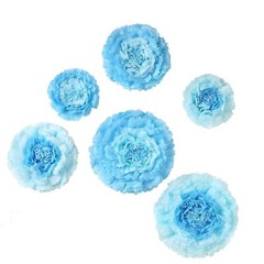 6 pack 12″ 16″ 20″ Aqua Blue Tissue Paper Carnation Flowers Party Home Backdrop