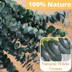 12 Pcs Dried Eucalyptus for Shower Hanging – 17” Real Large Preserved