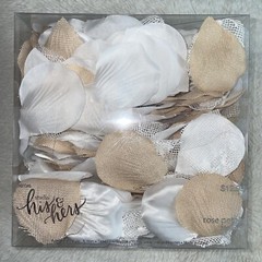 STUDIO HIS & HERS WHITE AND BEIGE ROSE PETALS 300 COUNT NEW IN BOX Farm House