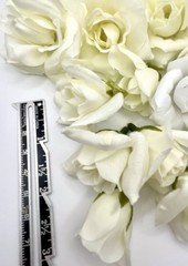 Lot of Faux Rose Flower Heads Ivory 1-3″ Wide Wedding Bridal Textile Bride