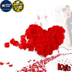 3000 PCS Red Rose Petals for Valentine’s 2 x 2 x 0.01 inches,