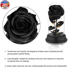 Forever Preserved Black Rose Birthday Gifts for Women,Eternal Flower Gifts for M