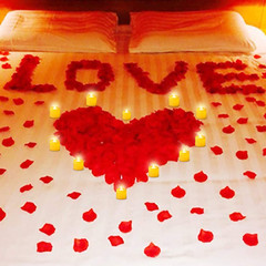 3000 PCS Artificial Silk Red Rose Petals and 20 PCS LED Candles Battery Flamele