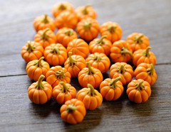 AIICraft 20 Mini Pumpkins Vegetable Fruit Garden (2″ x 1″ x 1″), Orange