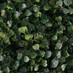 4 Artificial Faux Foliage Green Large Leaves Wall Mat Hedge Panel