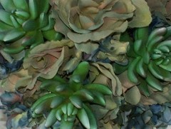 Bluesy Green Silk Succulent and Rose Bride or Bridesmaid Wedding Bouquet