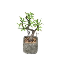9″ tall Green Brown Concrete Pot with Faux Mini Willow Tree Wedding Decorations