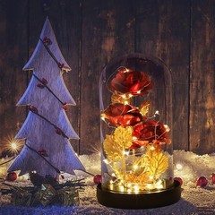 Beauty and The Beast Rose,Preserved Flowers Bouquets Gifts,Light Up Red Rose