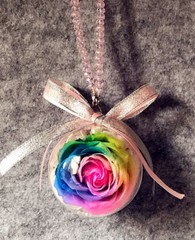 Je T’aime Preserved Fresh Rainbow Roses Immortal Flower