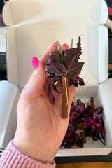 5 New Ling’s Moments Purple Violet Burgundy Wedding Boutonnieres Pinned