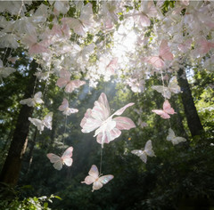 8pcs Giant Artificial Butterfly Decor 20”3D Butterflie for Wedding Party Decor