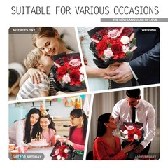 Casaido Preserved Flowers for Delivery, Mothers Day Red Flower Bouquets
