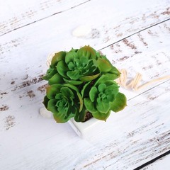 Set of 3 5″ tall Assorted Artificial Faux Succulent Plants with Off White Pots