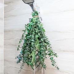 3kinds Natural Eucalyptus Stems 12PCS – 17inch Eucalyptus Set for 12PCS-17INCH