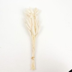 WHITE 50 Stems 15″ Rabbit Tail Dried Natural Pampas Grass SPRAYS Party Events