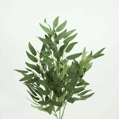 RUSCUS BUNCH GREEN ARTIFICIAL 70CM VARIOUS COLOURS WEDDING EVENT DECOR