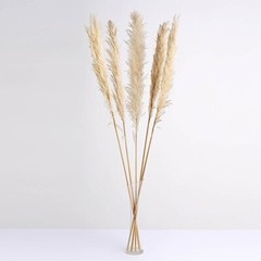6 WHEAT 49″ Natural Pampas Grass SPRAYS Dried Plant STEMS Party Home Decorations