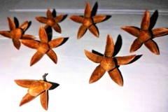 Dry flowers for make beautiful decorations wall decorations 20 flowers in set