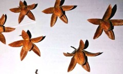 Dry flowers for make beautiful decorations wall decorations 20 flowers in set