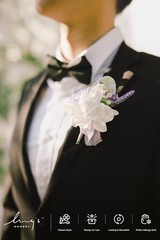 Boutonniere for Men, 6pcs Groom Groomsmen Boutonniere with Built-in Pins, Art…