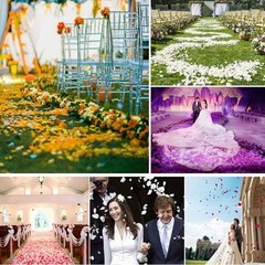 1000 PCS Rose Petals Fake Rose Petals for Romantic Night, Wedding Flower Deco…