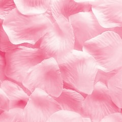 1000pcs Silk Artifical Fake Flower Rose Petals White Wedding Party Decorations