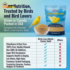 Alpiste 100% Non-Gmo Double Cleaned Canary Seed 5Lbs | Canary and Fi