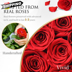 ChosiaRose Flowers Forever Preserved Roses – 27 Large, Red