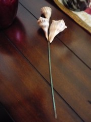 3 Seashell Bouquet Picks Beach Wedding Flower Inserts Floral Bouquet home decor