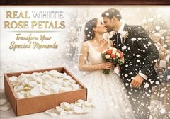 Natural White Rose Petals 8.11oz – Dried Flower Confetti for Weddings, Parties &
