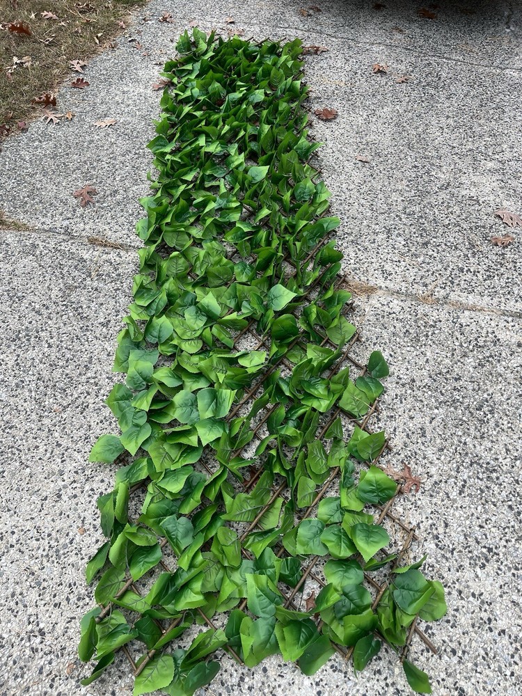 10ft X2ft Green Leaf Foliage Wall Backdrop Party Expandable Photo Backgrounds