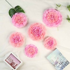 6 pack 7″ 9″ 11″ Blush and Pink Tissue Paper Carnation Flowers Backdrop
