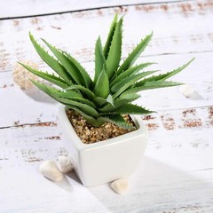 Green 3 Assorted 5″ Faux Realistic Aloe Succulent Plants Off White Pots