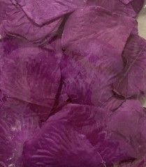 100 – new – SILK – purple/lavender/ deep lilac ROSE PETALS – new