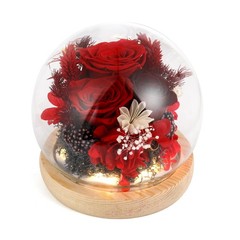 GUOBOYCL Gifts for Women Mom Grandma Sister Wife Her, Luxury Preserved Red-b