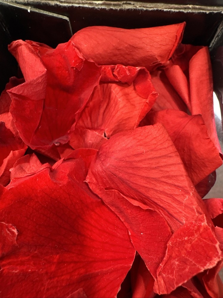 180 Pcs Real Red Rose Petals Confetti For Romantic Night