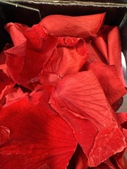 180 Pcs Real Red Rose Petals Confetti For Romantic Night