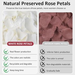Dried Real White Rose Petals 2.1oz Freeze Preserved Flower Petals Valentine’s