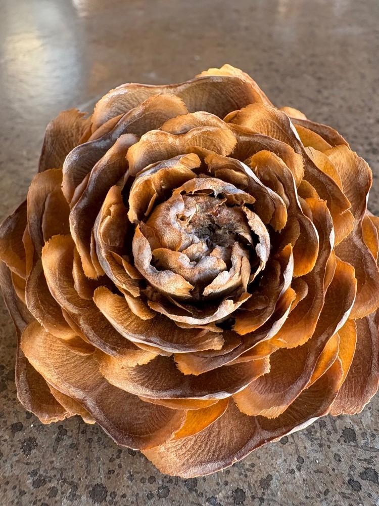 Rose pinecones