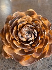 Rose pinecones