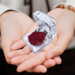 DoraMagic Preserved Rose Real Forever in Mini Clear Ring Box, Red