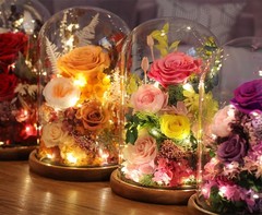 lovenfold Flowers for Delivery Preserved Rose in Glass Pink-spring