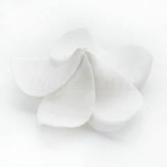 Artifical Plumeria Foam Frangipani Flower For Wedding Party Decor 10/50pcs D2018