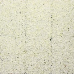Silk Hydrangea Flowers 11 sq ft UV Protected Wall Backdrop Panels Centerpieces