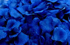 100 DARK BLUE SILK ROSE PETALS – NEW