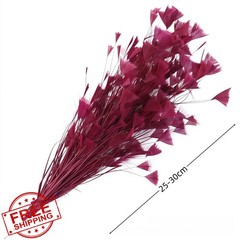 GYBZZR Burgundy Feather Bouquet 10-12″ 2Pcs