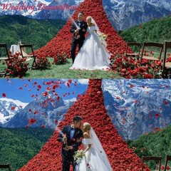 CODE FLORIST 2200 PCS Dark-Red Silk Rose Petals for Romantic 2 Inch Red-black